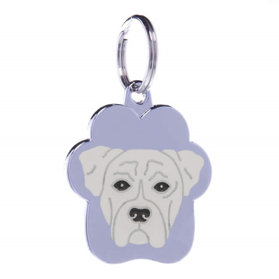 Picture of TAG RAINBOW BOXER  WHITE